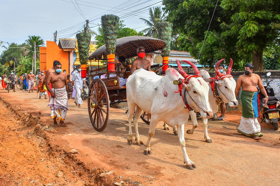 236015031 10226464145976309 2283542128543038426 n