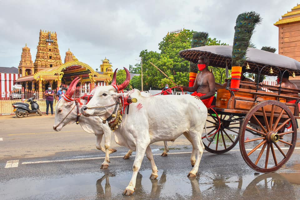 236650964 10226464146336318 4109619645138573729 n