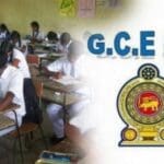 3d6a4eccadeb87e833f3111f1bbe7a60 XL