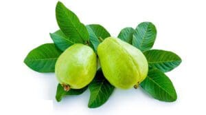 GettyImages guava 89789