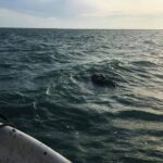 WhatsApp Image 2021 08 27 at 22.18.40