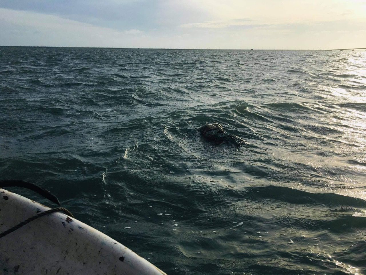 WhatsApp Image 2021 08 27 at 22.18.40