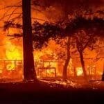 அல்ஜீரியா காட்டுத் தீயால் 42 உயிரிழப்பு!!!