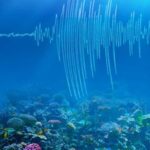 யாழிலிருந்து 610 KM தொலைவில் 5.1 ரிச்டர் அளவில் நிலநடுக்கம்