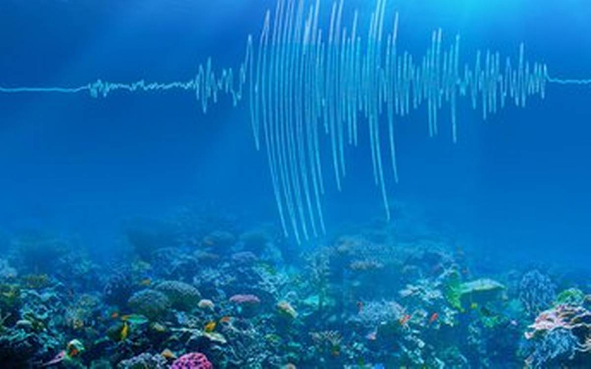 யாழிலிருந்து 610 KM தொலைவில் 5.1 ரிச்டர் அளவில் நிலநடுக்கம்