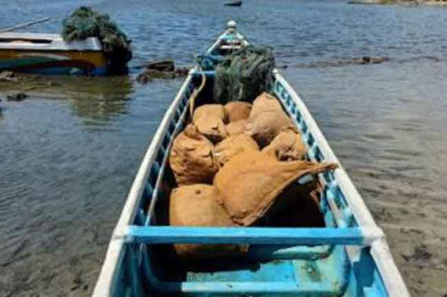 1632896722 turmuric 2