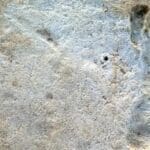 614ca285c2c9630018f5fb3a cropped 600