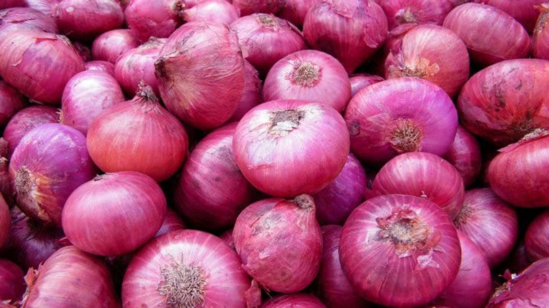 Big Onion