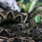 Tamil News large 2835737