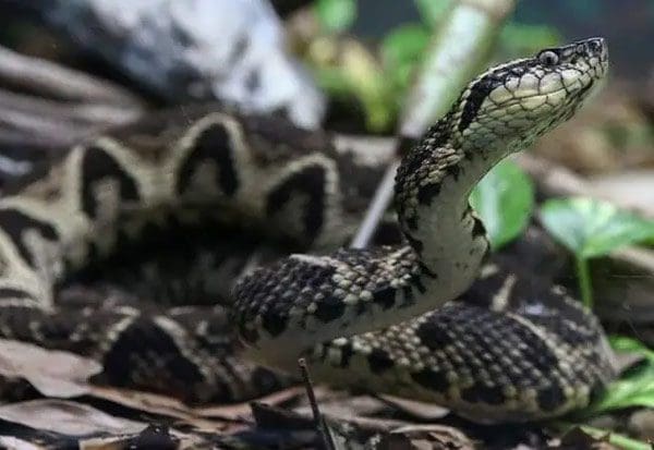 Tamil News large 2835737