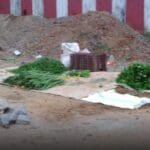 WhatsApp Image 2021 09 02 at 13.07.16