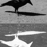 WhatsApp Image 2021 09 04 at 5.10.55 AM