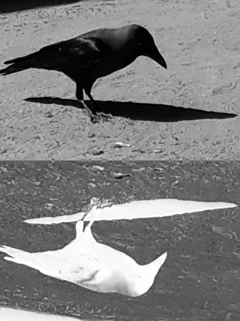 WhatsApp Image 2021 09 04 at 5.10.55 AM