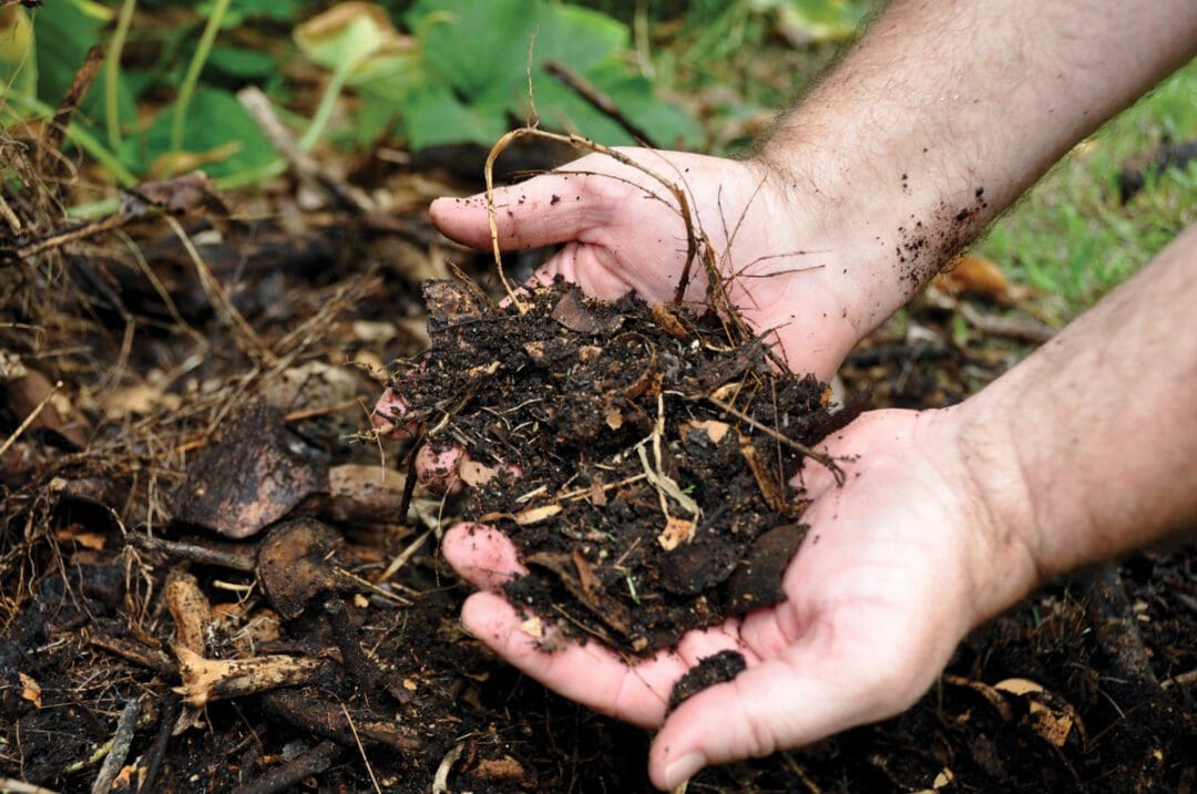 compost scaled