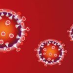 corona update