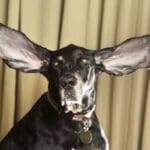 ezgif.com gif maker 1