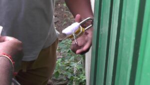 45,000 தொன் நெல் பதுக்கல்! - களஞ்சியசாலைகளுக்கு 'சீல்' 3 seel