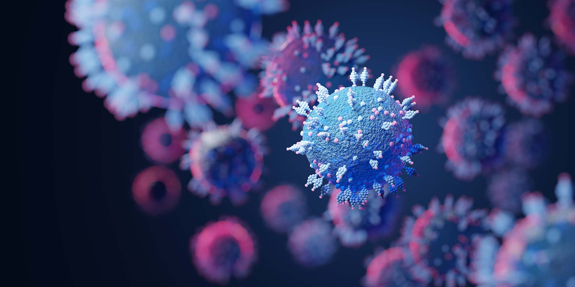 shutterstock 2011480793 h1