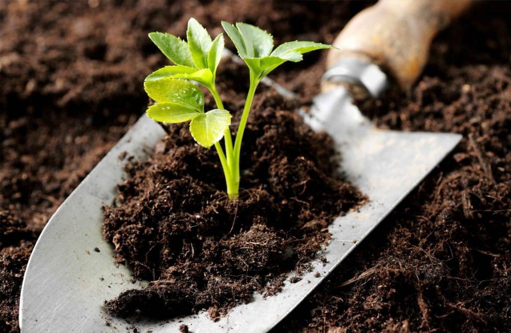 சேதன பசளை உற்பத்தி