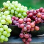 202110221308264682 Tamil News Grapes to prevent heart attack SECVPF