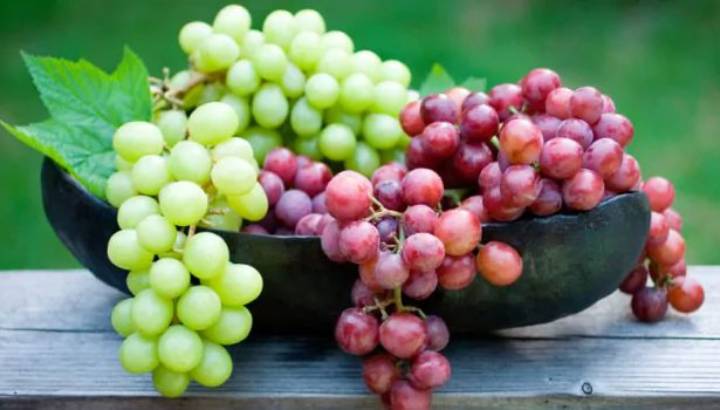 202110221308264682 Tamil News Grapes to prevent heart attack SECVPF