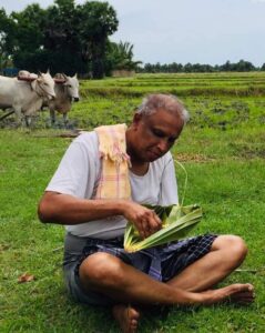 ஏர்பூட்டி வயல் உழுத சுமந்திரன் எம்.பி. 10 244799122 160922159568328 5765163401450899710 n