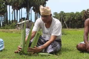 ஏர்பூட்டி வயல் உழுத சுமந்திரன் எம்.பி. 8 555