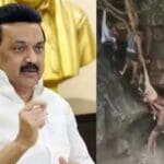 99bedf62ac8a9435312cd5a554a4834d