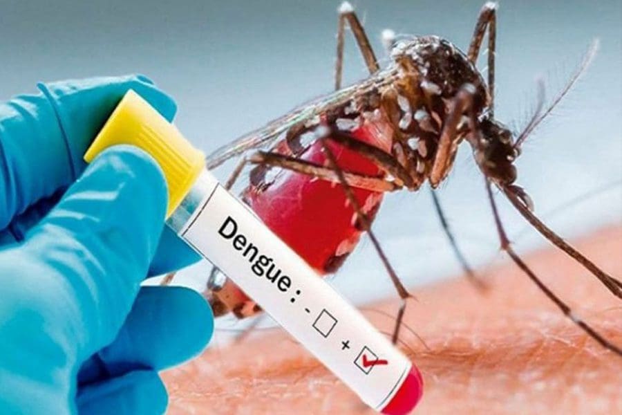Dengue