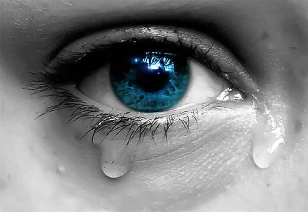 Tamil News large 1561985 scaled