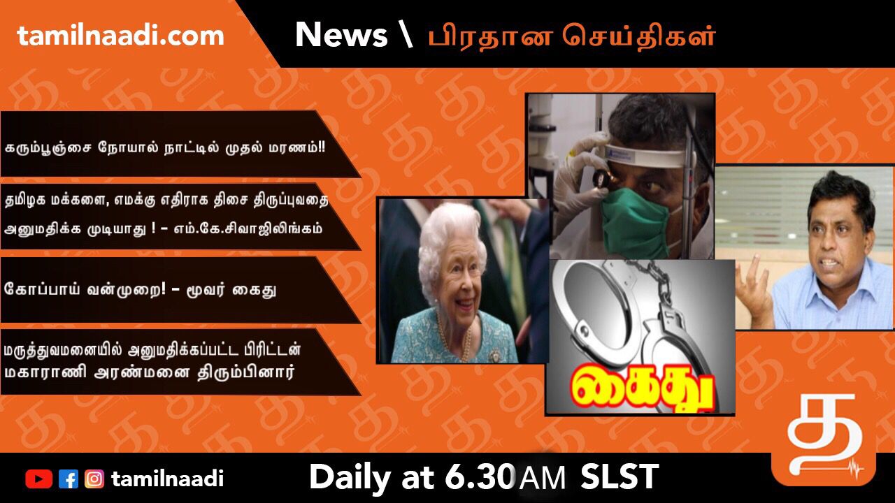 WhatsApp Image 2021 10 23 at 1.47.23 AM