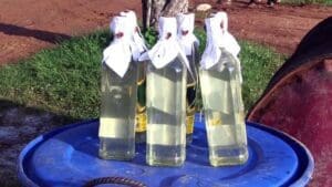 விசேட அதிரடிப்படையினரால் கசிப்பு உற்பத்தி நிலையம் முற்றுகை! 4 kili 03