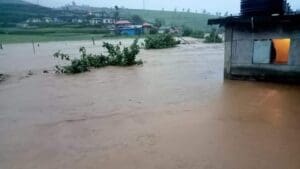 கனமழை ஏற்படுத்திய பாதிப்பு: மரக்கறி உற்பத்தி பாதிப்பு (படங்கள்) 4 nuw 02