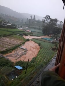 கனமழை ஏற்படுத்திய பாதிப்பு: மரக்கறி உற்பத்தி பாதிப்பு (படங்கள்) 5 nuw 03