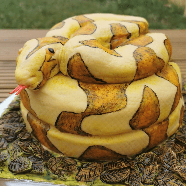 snake cake