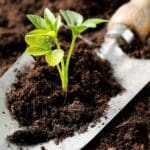 சேதன பசளை உற்பத்தி