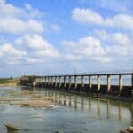 சேதனப் பசளையில் பயிர்ச்செய்கை 4