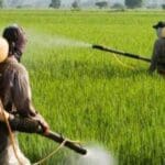 153fa8f4 2a999309 chemical fertilizer 850x460 acf cropped