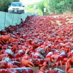 213bb559 3b55 439f a22d 08351b9f6d3f