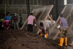 241491458 200215102293041 4492399299460550463 n 1