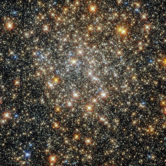 252472636 1341034643028181 4957325854672440323 n