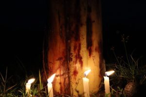 262027250 302456951884839 3534394132615960026 n