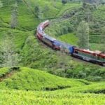 29b08348e1b7d8e53058629b9458da9d