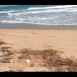 3c218faa whatsapp image 2021 11 30 at 12.28.00