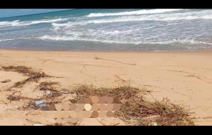 3c218faa whatsapp image 2021 11 30 at 12.28.00