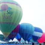 470c3d8f a1df 423a b265 2adadd404ee6