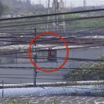 During the prison riots in Ecuador