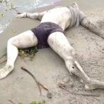 Screenshot 20211108 175428 Dual App