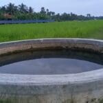 VideoCapture 20211106 221732