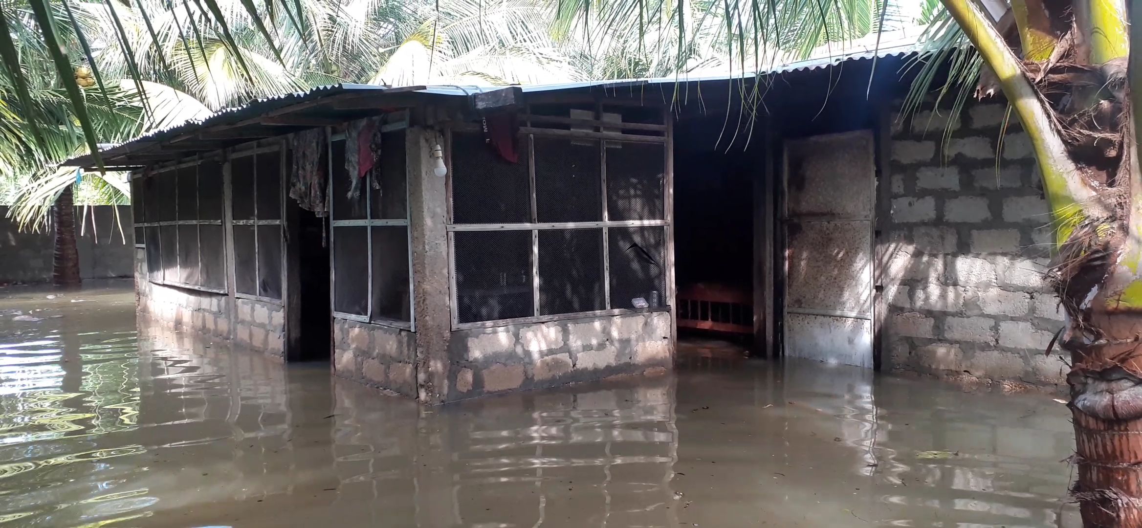 VideoCapture 20211110 112112